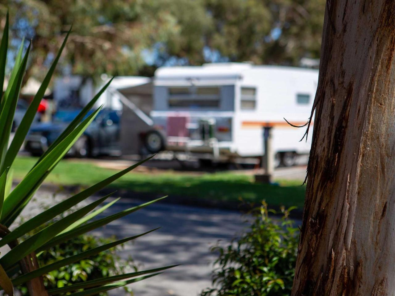 Echo Holiday Parks - Windsor Gardens Adelaide Luaran gambar